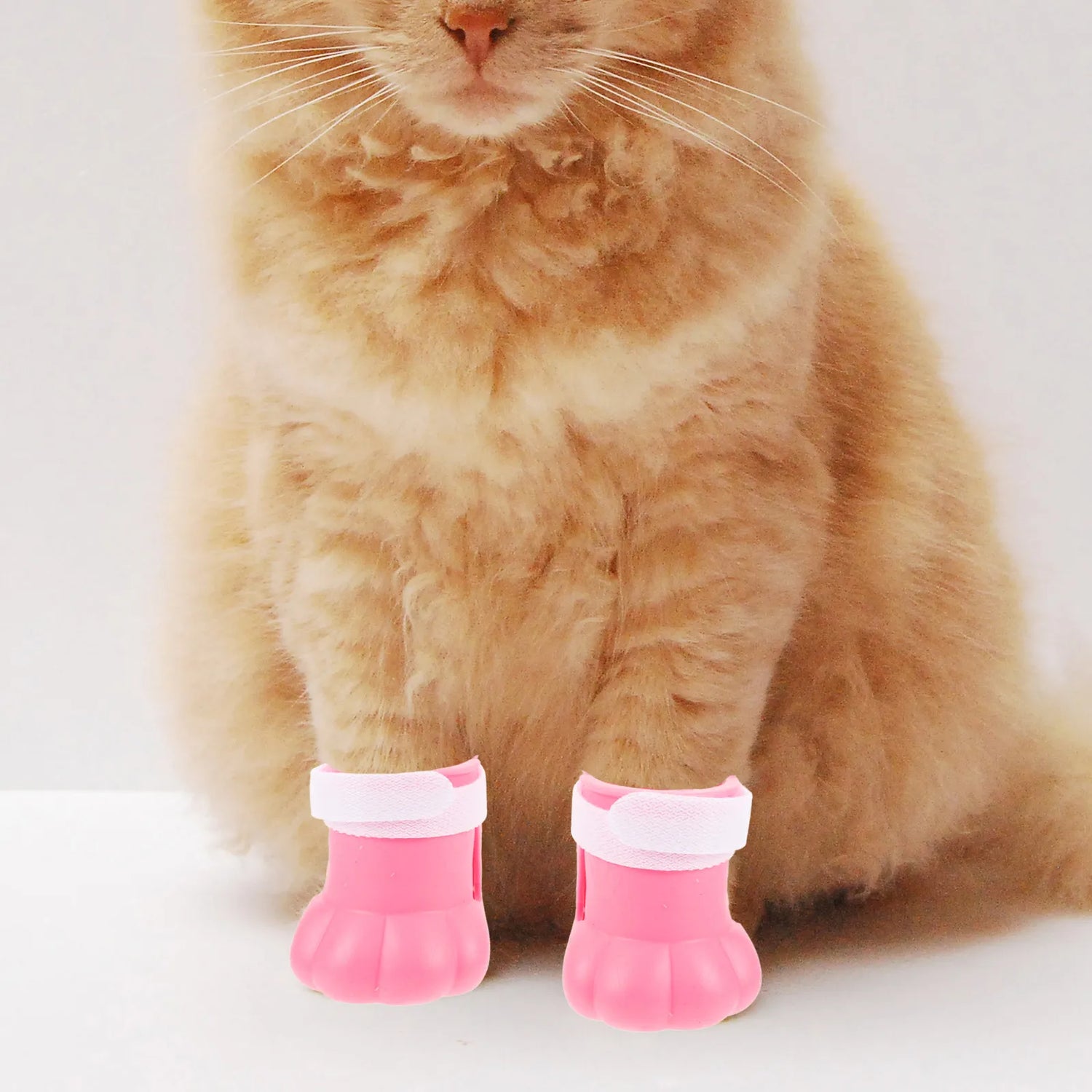 Cat Booties