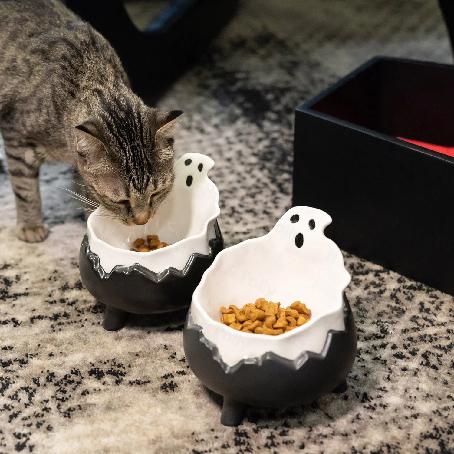 Cat Bowls