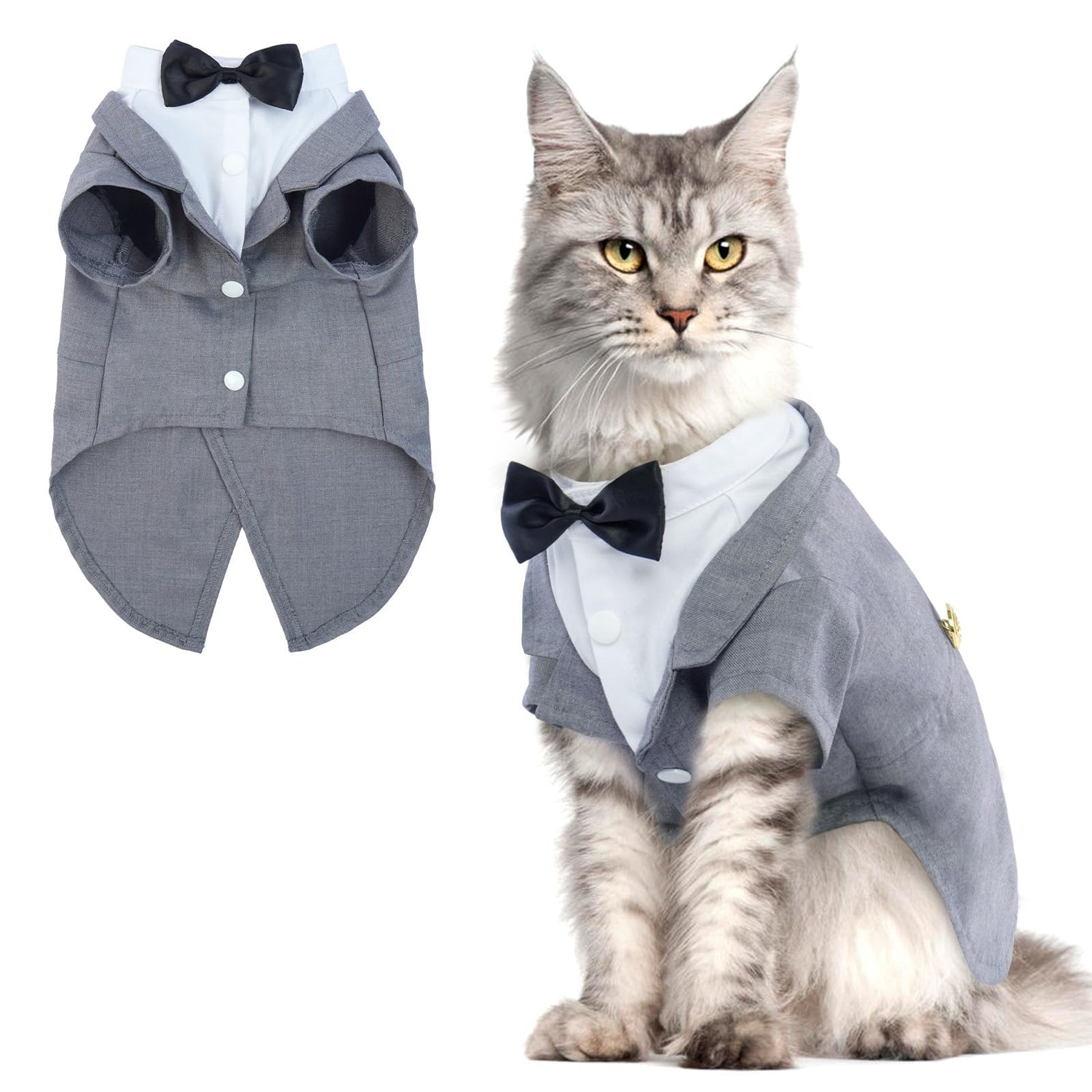 Cat Costumes