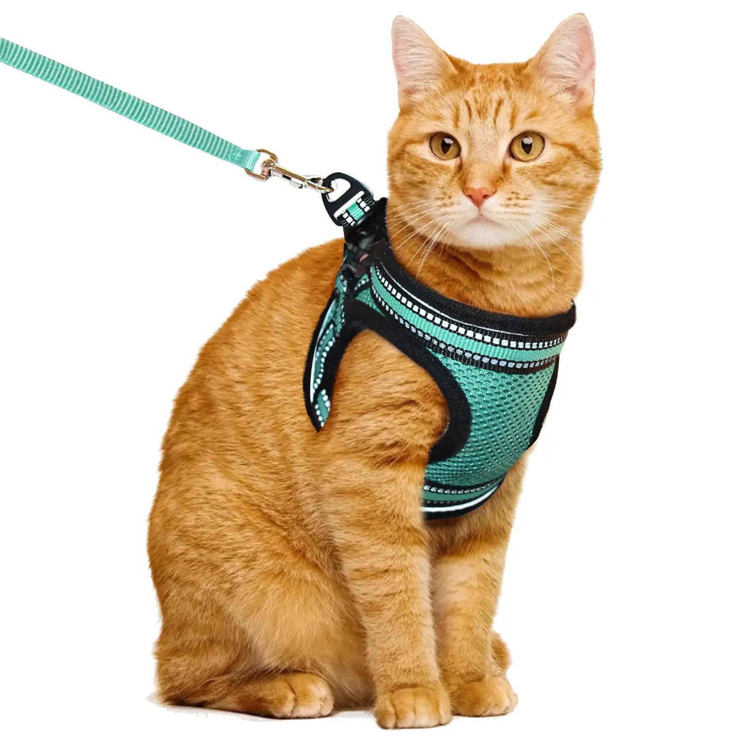 Cat Harness/Leashes