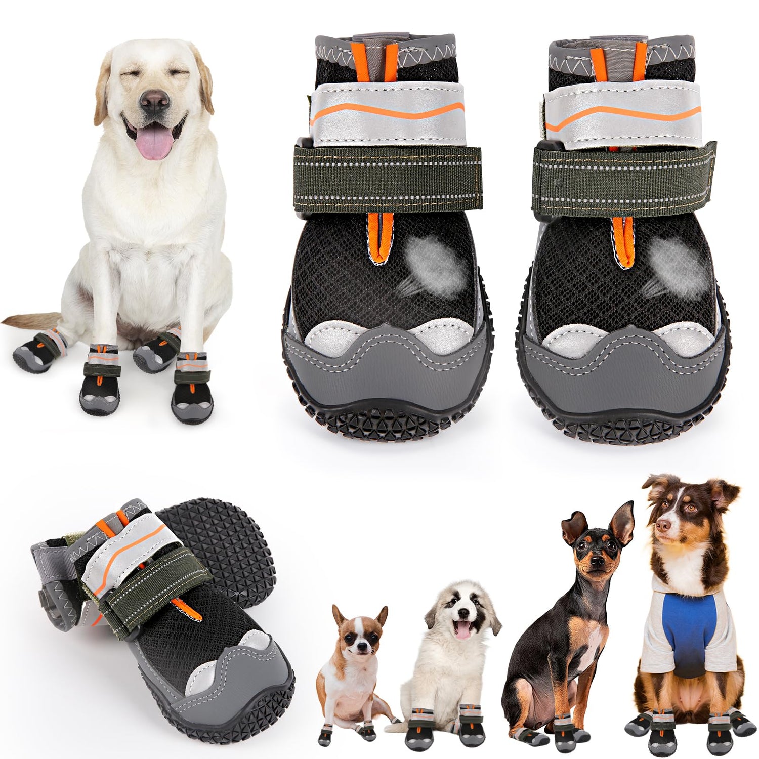 Dog Booties