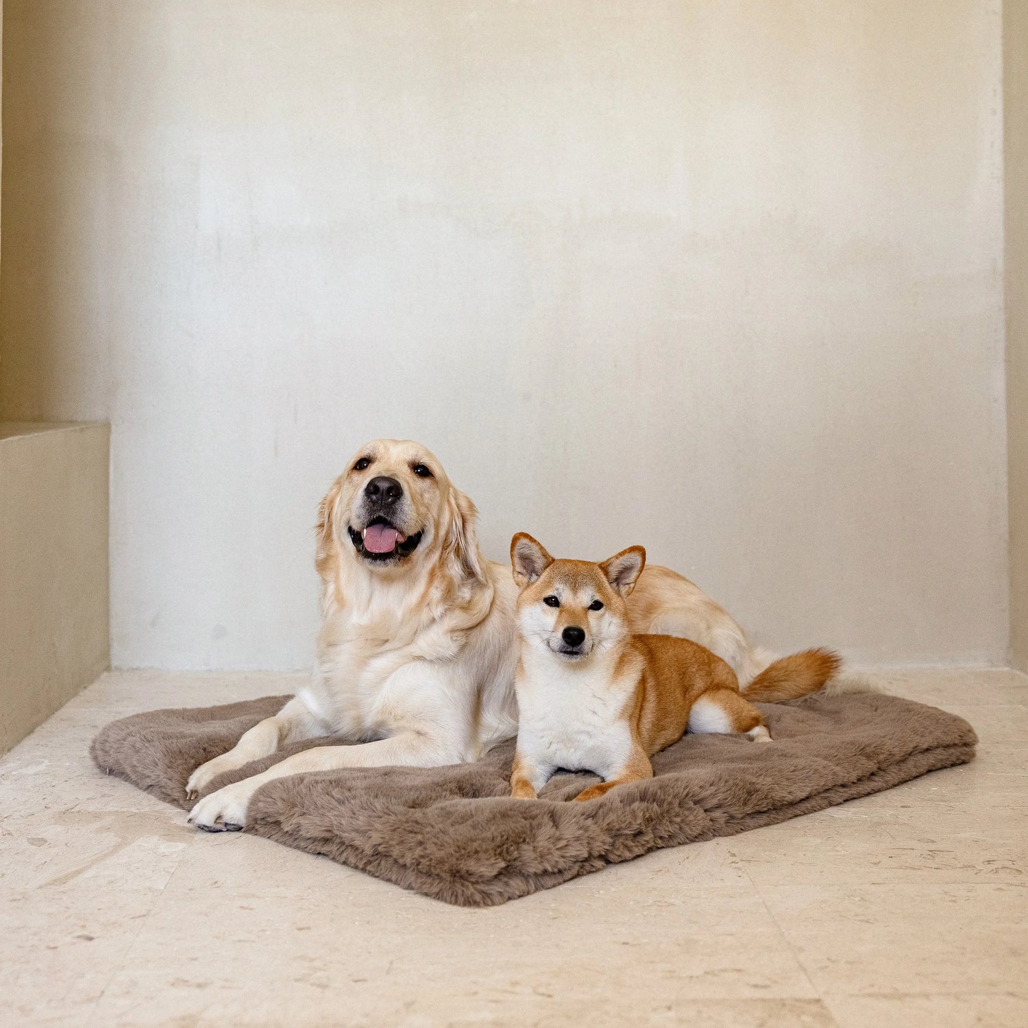 Beds And Blankets