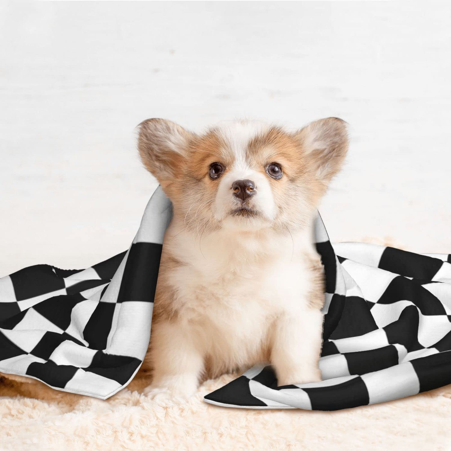 Pet Blankets
