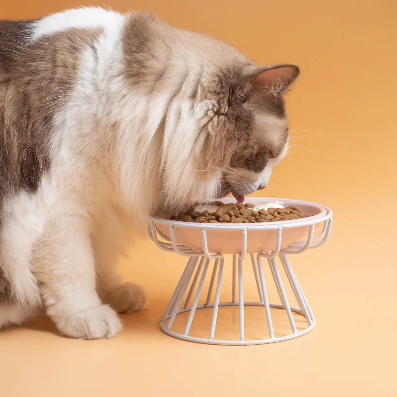 1Set (1pc rack + 1pc bowl) ceramic high-rise cat bowl，Easy to Clean 1pc Raised Ceramic Cat Food Bowl - Anti-Spill Pet Bowl