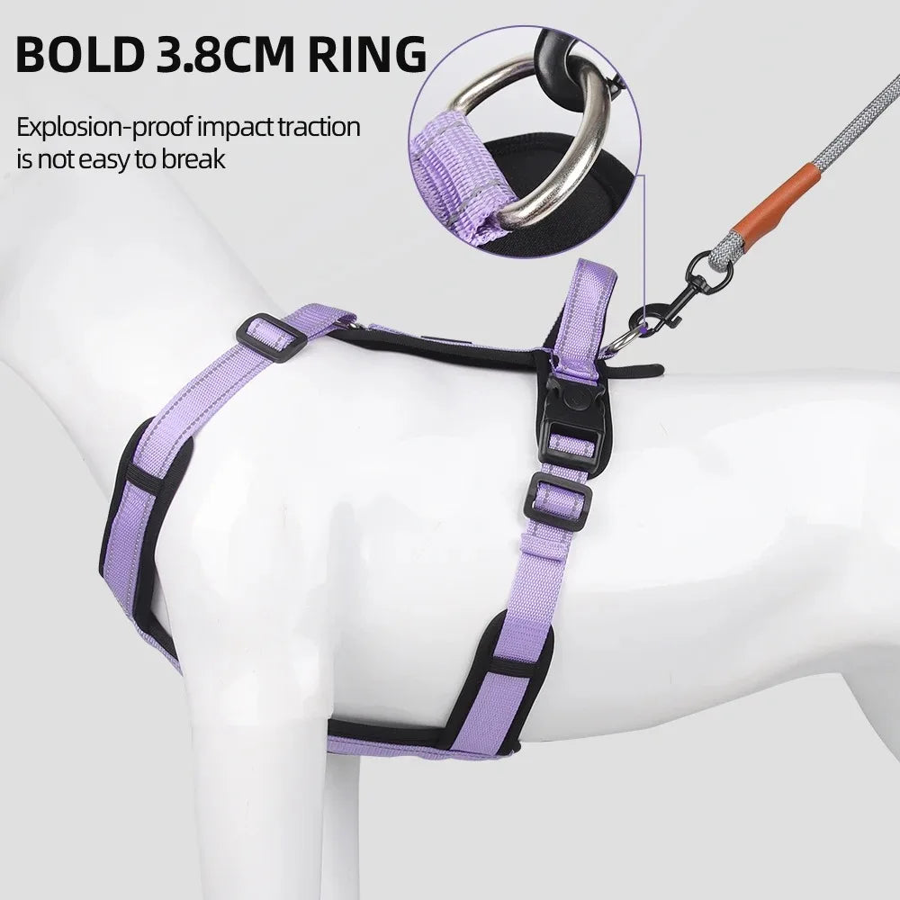 Harnesses and Wears Necklaces Harness With Dog Leash Classic Medium Small Dogs Pet Accessories Chest Puppy Collar Big Accessory