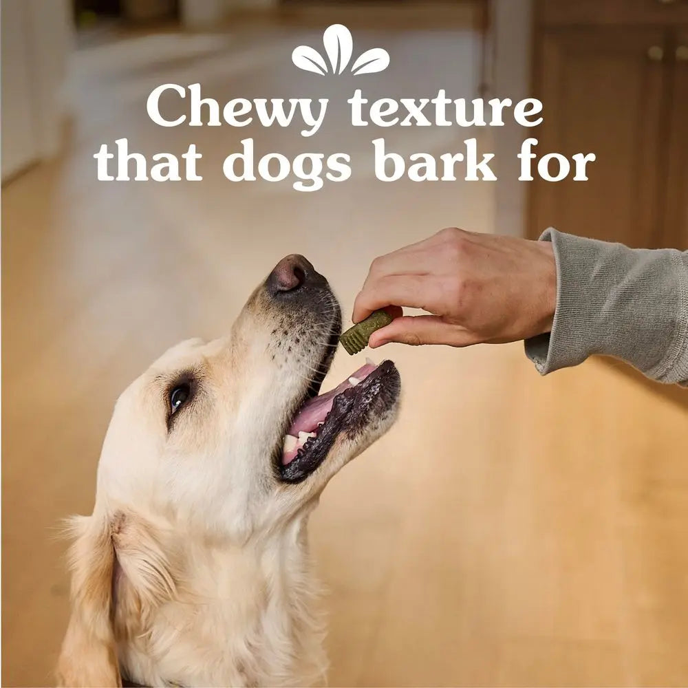 Anytime Bites Dog Treats, Original Flavor, Dog Training Treats, 24 oz. Bag